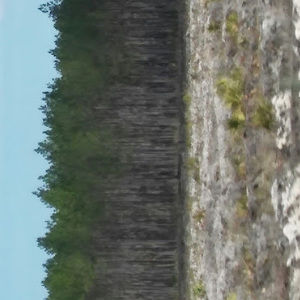 Meet your Posher, Tyrik